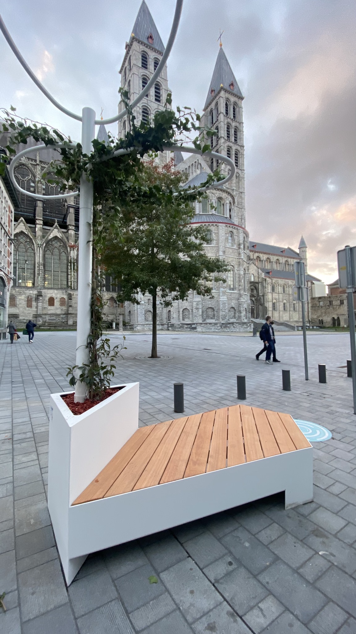Bancs végétalisés
